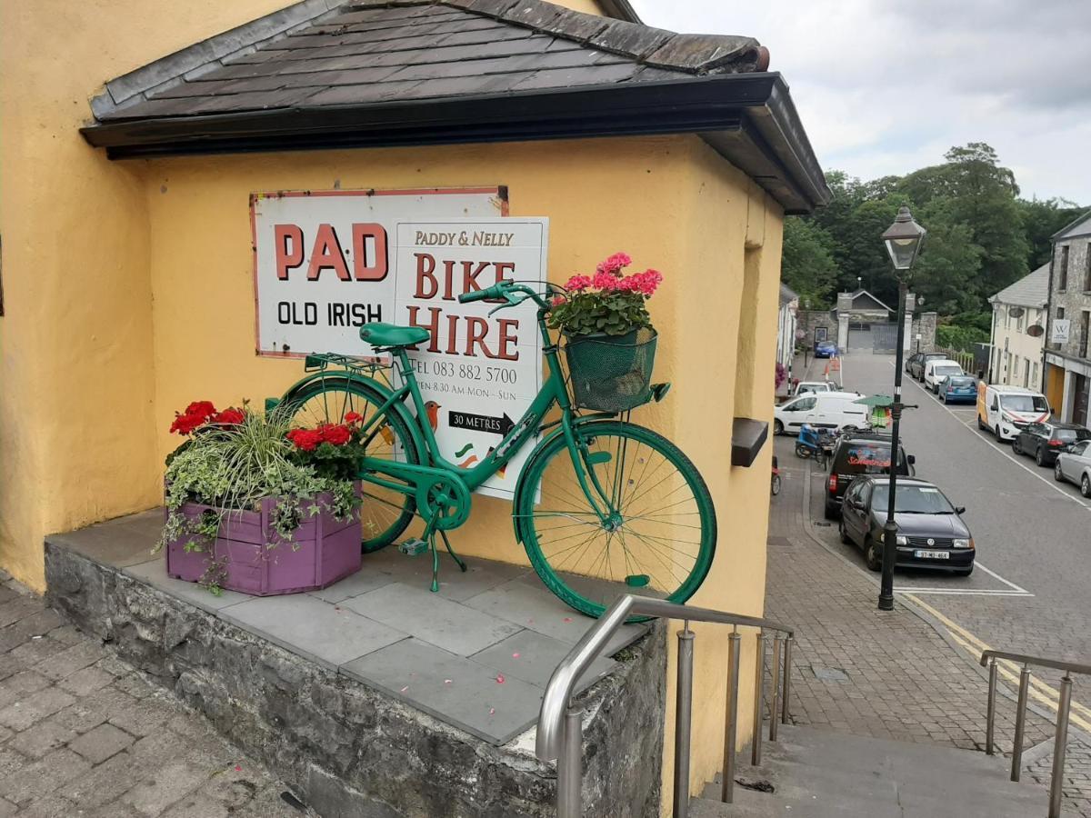Готель Nellys Bed And Bikes Вестпорт Екстер'єр фото